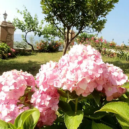 شقة Lumra Lukovë