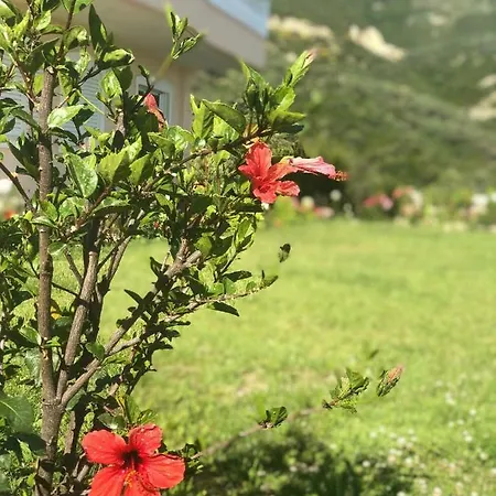 Lumra Lägenhet Lukovë