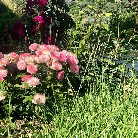 Lumra شقة Lukovë