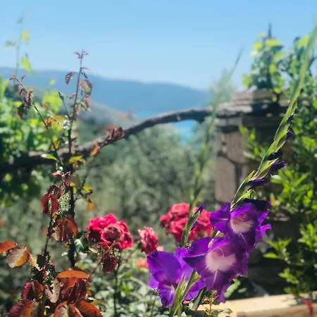 Lägenhet Lumra Lukovë