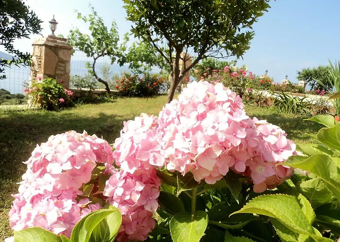 公寓 Lumra Lukovë