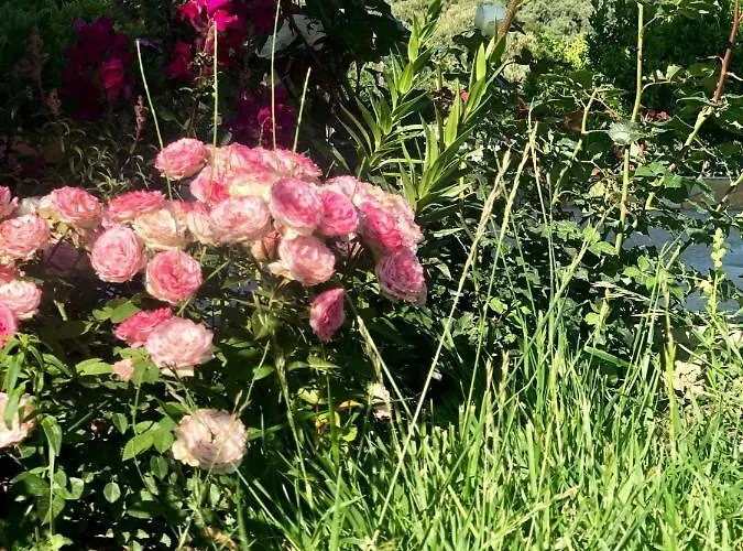 Lumra 公寓 Lukovë