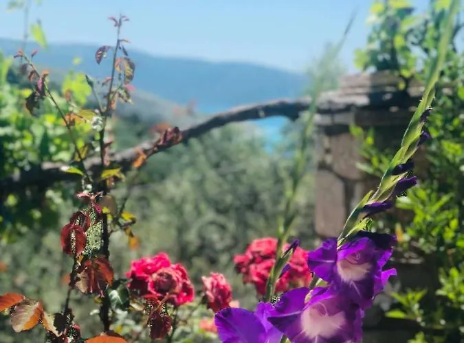 公寓 Lumra Lukovë